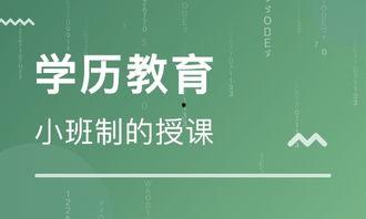 三观教育教学视频成人,探索成人生涯的智慧航标