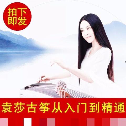 成人古筝教学视频合集,解锁古筝演奏艺术之门