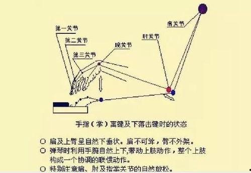 成人弹钢琴指法视频大全,视频大全解析，轻松掌握弹奏技巧