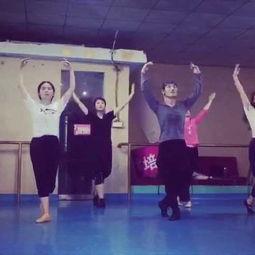 简单蒙族成人舞蹈视频,简单成人舞蹈视频赏析