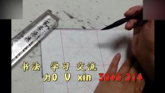 成人连笔书法练字视频