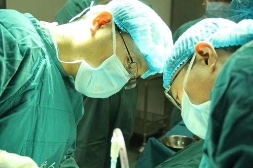 成人耳廓手术视频播放,视频教学深度解读