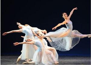 二十大舞蹈成人简单视频