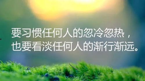 成人学习励志视频语录,成人学习励志语录的力量