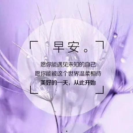 成人学习励志视频语录,成人学习励志语录的力量