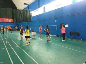 成人训练跳跳球视频,成人训练视频教程解析