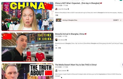 网络欧美成人广视频,揭秘隐秘世界的一扇窗