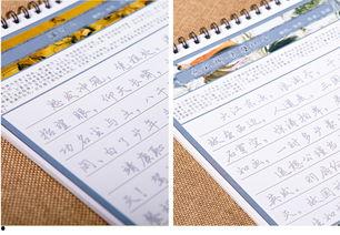 振字成人练字速成视频,跟随视频轻松掌握成人练字技巧  第3张