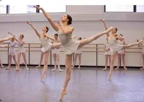 成人舞蹈执教视频  第3张