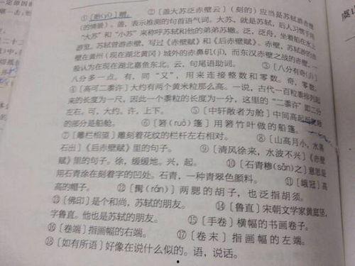 成人唐诗翻译及注释视频,经典名篇翻译与深度解读  第1张