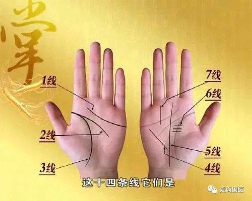 成人肚脐结疤图解视频,肚脐结疤成因与护理方法图解  第1张