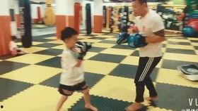 成人搏击动感视频大全,成人搏击视频大全精选集锦  第3张