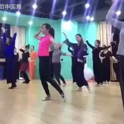 中国成人舞教程视频大全,舞动人生，乐享健康  第3张