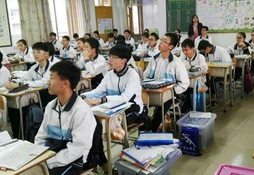 成人上课教学技巧视频,揭秘成人教学技巧视频核心内容  第3张