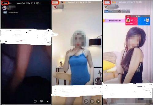 成人污视频在哪买,揭秘网络暗流涌动的秘密世界